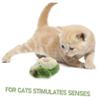 BESTonZON Catnip Chew Toy for Cats and Puppies view 3