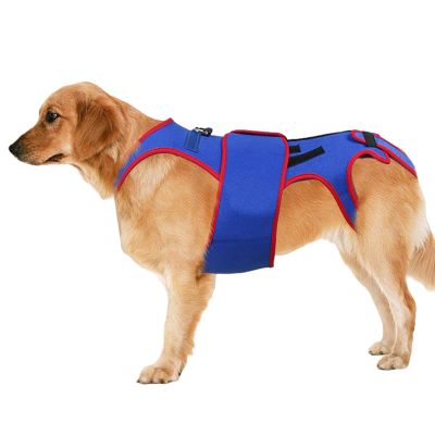 Dog Back Support Brace for IVDD - D