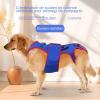 Dog Back Support Brace for IVDD - D view 3