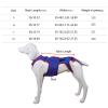 Dog Back Support Brace for IVDD - D view 4