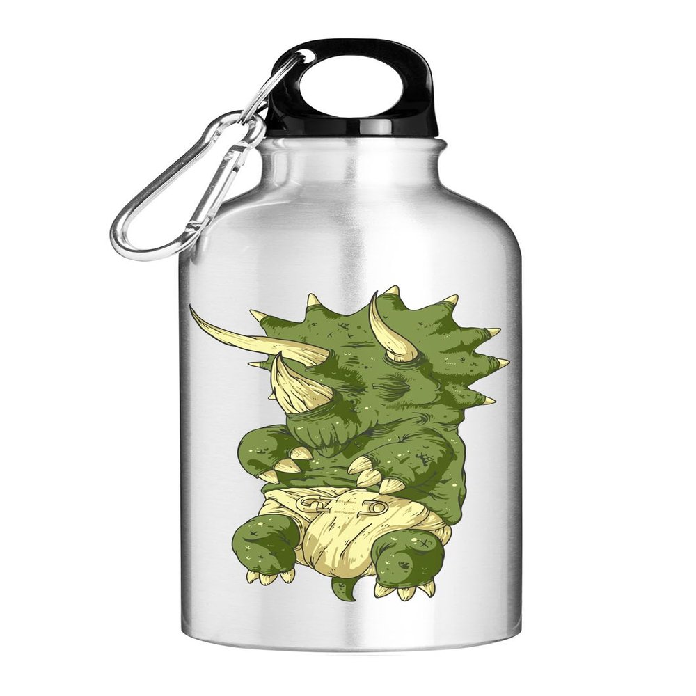 Se Sleeping Baby Water Bottle with Dinosaur Design, Silver-Colored