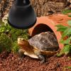 Reptile Light Dome with Optical Reflective Cover view 2