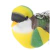 HOUDERCO Feathered Bird Cat Toy Wand Refill with Bell view 3