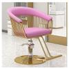 MZBDYYF Modern Professional Salon Chair, Ergonomic, 360° Swivel, Height-Adjustable, Stainless Steel, Leather view 1