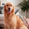 Dog Grooming Undercoat Rake view 3