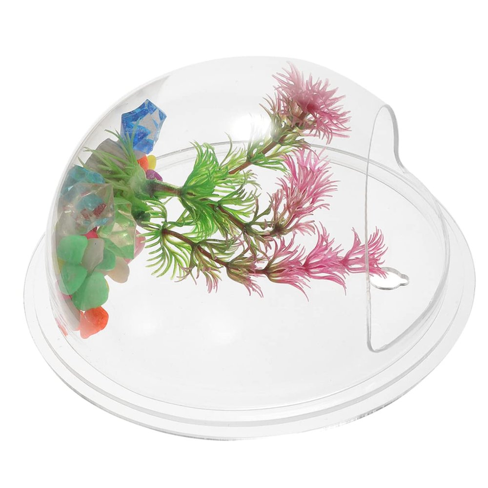 Abaodam Wall-Mounted Acrylic Vase - Small