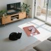 Nuyhgtr Dog Cooling Mat - Soft Pet Pad - Durable Bed for Dogs and Cats view 2