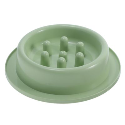 Dog Bowl with Anti-Gulping Design, Slow Feeder, Green