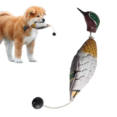 Interactive Bird Hunting Training Toy for Dogs