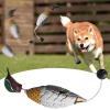 Interactive Bird Hunting Training Toy for Dogs view 3