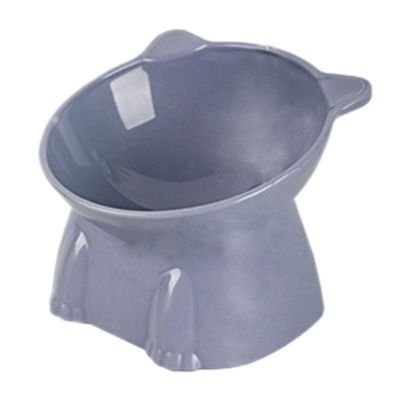 Elevated Cat Food Bowl