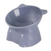 Elevated Cat Food Bowl view 1