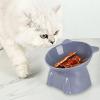 Elevated Cat Food Bowl view 2