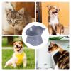Elevated Cat Food Bowl view 4