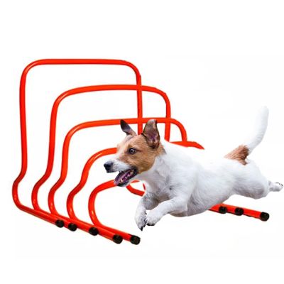 Football Hurdles, 5-Piece Dog Training Hurdle Set, Adjustable Heights