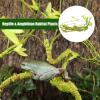 Lifelike Flexible Terrarium Vines for Reptiles view 2