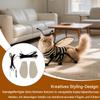 Cat Cockroach Costume for Pets view 2