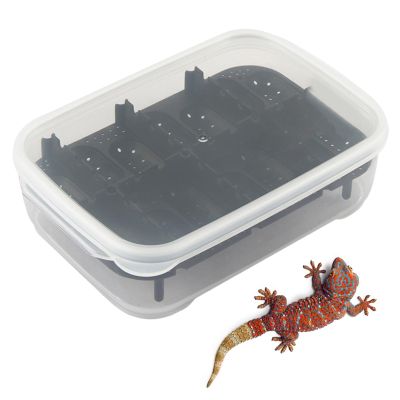 Reptile Incubator, 14 Grid Gecko Breeding Box