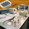 Reptile Incubator, 14 Grid Gecko Breeding Box view 2