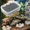 Reptile Incubator, 14 Grid Gecko Breeding Box view 3