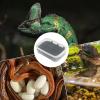 Reptile Incubator, 14 Grid Gecko Breeding Box view 4