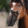 Fly Mask | Breathable Fly Cover - Medium Size view 3