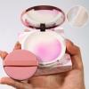 Mattifying Face Makeup Powder view 3