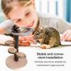 Hamster Ramp, Wooden Ladder with Rest Area and Stainless Steel Food Bowl view 3