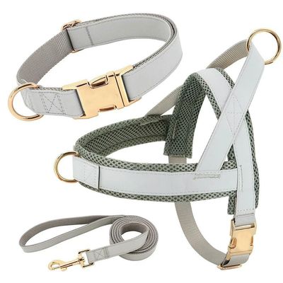 Personalized Dog Collar-Harness-Leash Set