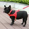 Personalized Dog Collar-Harness-Leash Set view 2