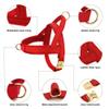 Personalized Dog Collar-Harness-Leash Set view 3