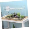 GALPADA 3-Piece Transparent Plastic Fish Isolation Breeding Boxes for Aquariums with Suction Cups view 4