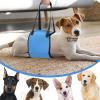 Pet Carry Harness | Soft Padded Dog Harness, Support Belt for Walks and Outdoor Activities view 2