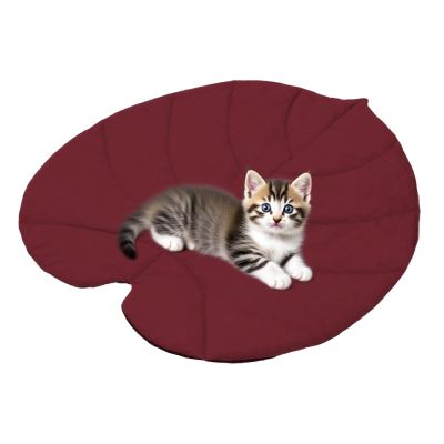 Waterproof Pet Mat 70 x 65 cm for Cats