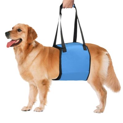 Pet Carry Strap - Softly Padded Seat for Dogs