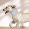 Dog Recovery Collar - Lightweight Protective Cone view 3