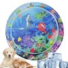 Water Mat for Cats, 100 cm, Inflatable Cat Play Mat view 1
