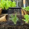 Wire Plant Protector | Durable Mesh Barrier for Flowers and Tomatoes view 2