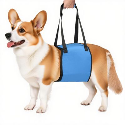 Pruojhw Dog Harness with Carry Handle