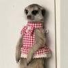 Small Animal Harness - Carrying System for Small Pets view 2