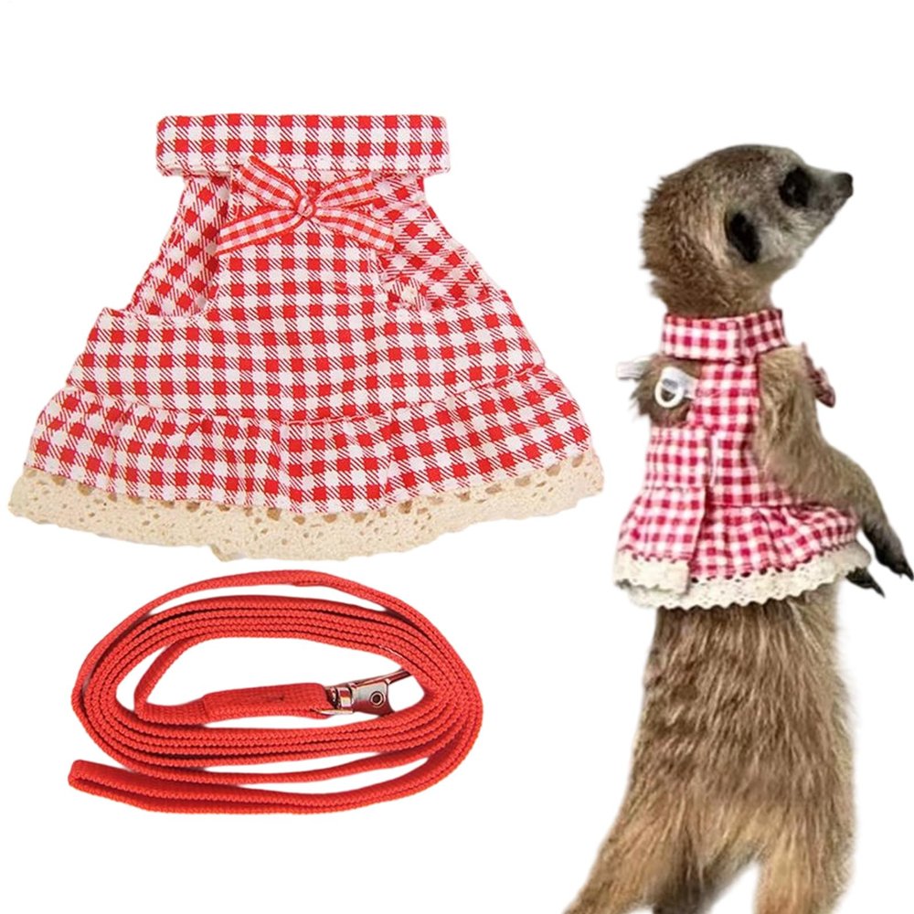 Ferret Harness | Small Animal Walking Harness with Leash