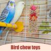 Bird Shredder Toy and Foraging Swing view 4
