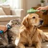 Rifrpha 2-Pack Cat Undercoat Brush view 4