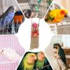 Colorful Chew and Foraging Toy for Budgerigars view 4