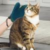 Pet Hair Remover Grooming Gloves view 2