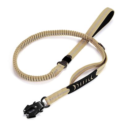 Reflective Dog Leash with Adjustable Closures for Walks and Travel