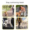 Reflective Dog Leash with Adjustable Closures for Walks and Travel view 2