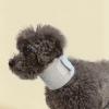 Recovery Collar for Dogs view 2