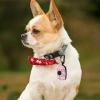 Pet Poop Bag Holder with Carabiner Clip view 2