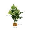 TOYANDONA Artificial Green Reptile Plant, Plastic, 1 Piece view 2